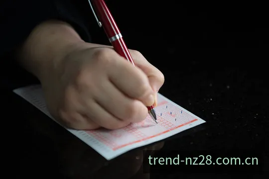 新西兰28计划走势量化推演看板